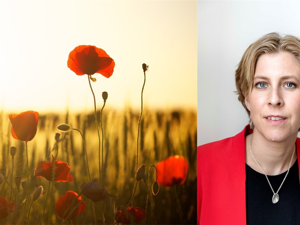 Bild på Agnes Hammarstrand Advokatfirman Delphi